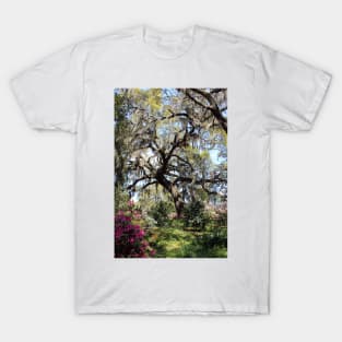 Beauty In The Trees T-Shirt